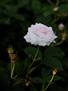 %_tempFileName019-20100606-1753%