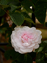 %_tempFileName020-20130525-0236%