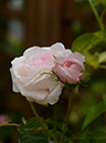 %_tempFileName021-20130525-0237%