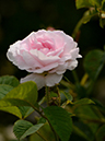 %_tempFileName022-20130525-1152%