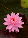 %_tempFileNamen1157-02-20250622-0330%
