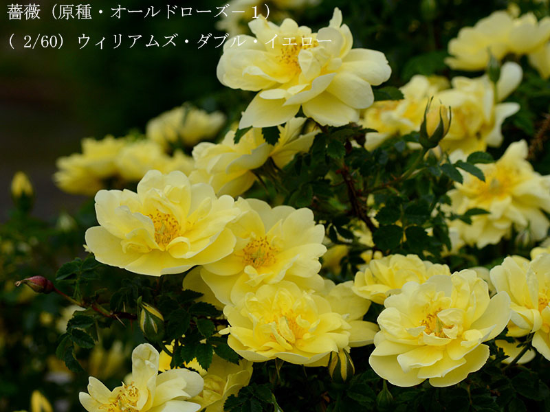 %_tempFileName002-r0832-20260429-0192%