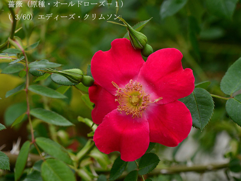 %_tempFileName003-r1022-20260429-0601%