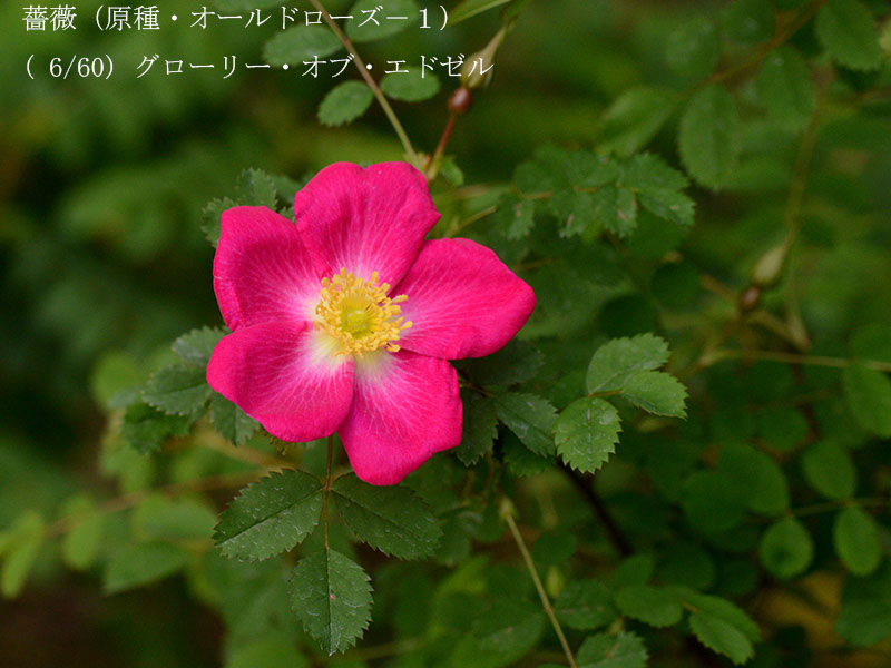 %_tempFileName006-r1968-20260422-0208%