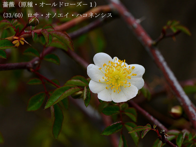 %_tempFileName033-r7934-20260429-0740%