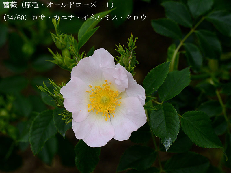 %_tempFileName034-r7943-20260429-0884%
