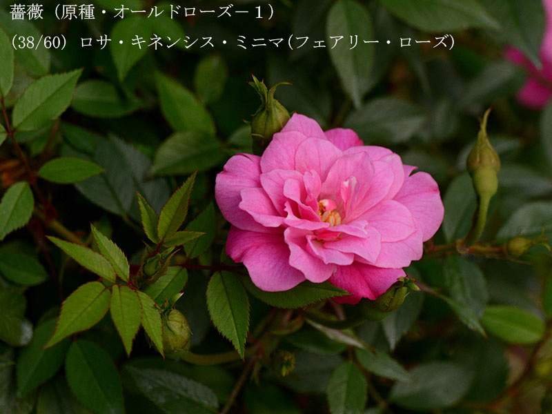 %_tempFileName038-r7964-20260422-0076%