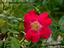 %_tempFileName003-r1022-20260429-0601%