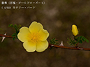 %_tempFileName004-r1461-20260422-0392%
