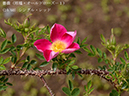 %_tempFileName010-r3101-20260422-0238%
