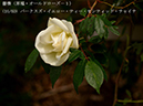 %_tempFileName016-r4428-20260422-0069%