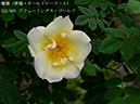 %_tempFileName021-r5524-20260429-0216%