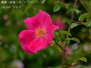 %_tempFileName026-r7281-20260429-0439%