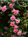 %_tempFileName027-r7307-20260429-0647%