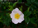 %_tempFileName034-r7943-20260429-0884%