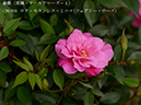 %_tempFileName038-r7964-20260422-0076%
