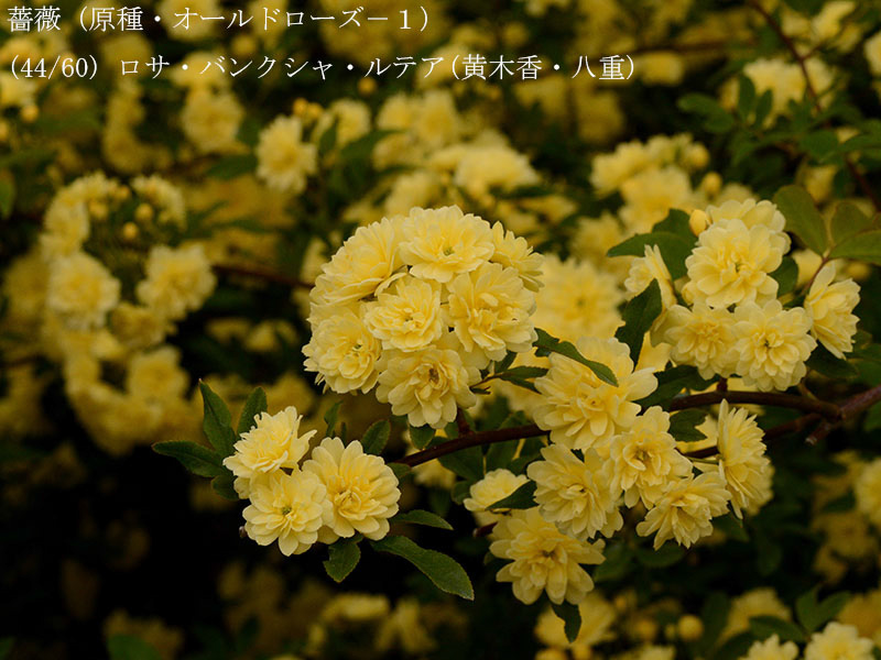 %_tempFileName044-r8024-20260422-0616%