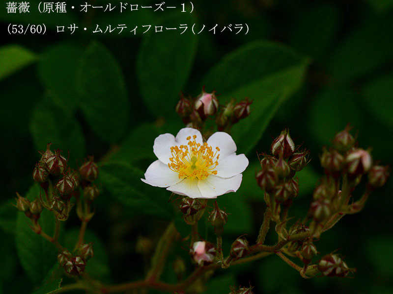 %_tempFileName053-r8083-20260429-0004%