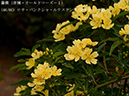%_tempFileName046-r8025-20260422-0745%