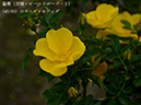 %_tempFileName048-r8043-20260429-0333%