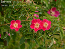 %_tempFileName049-r8059-20260422-0529%