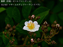 %_tempFileName053-r8083-20260429-0004%