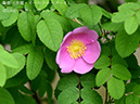 %_tempFileName055-r8134-20260429-0135%