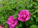 %_tempFileName058-r8852-20260429-0692%
