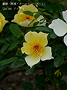 %_tempFileName059-r8855-20260429-0298%