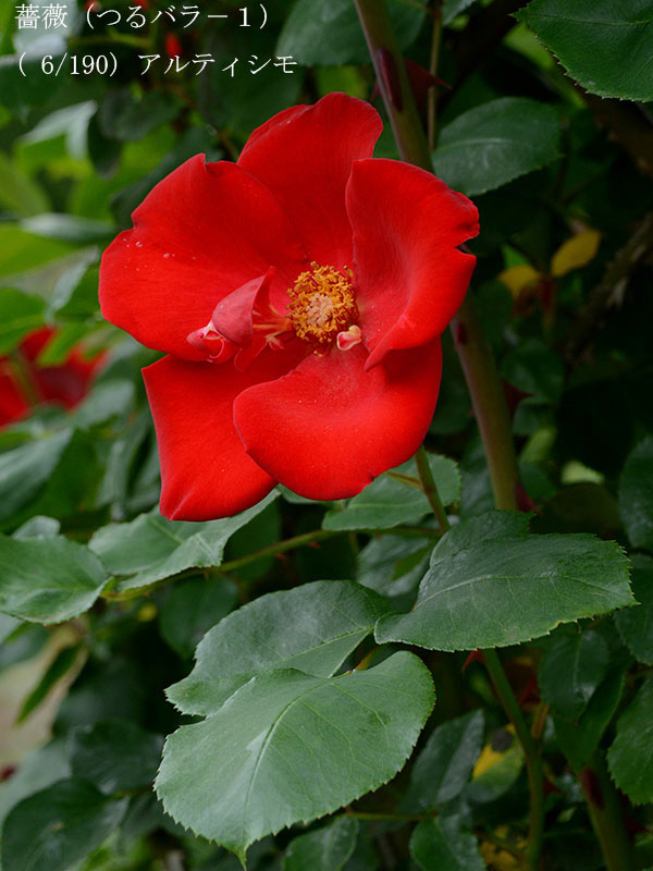 %_tempFileName006-r0402-20260506-1704%