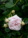 %_tempFileName002-r0152-20260523-1968%