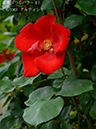 %_tempFileName006-r0402-20260506-1704%