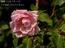 %_tempFileName007-r0420-20260531-1522%