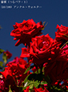 %_tempFileName010-r0493-20260530-1486%