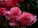 %_tempFileName014-r0898-20260523-1676%