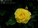 %_tempFileName017-r1052-20260506-1538%