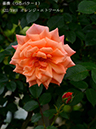 %_tempFileName022-r1324-20260506-1716%