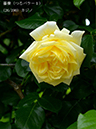 %_tempFileName026-r1426-20260506-1528%