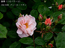 %_tempFileName039-r1930-20260506-1424%