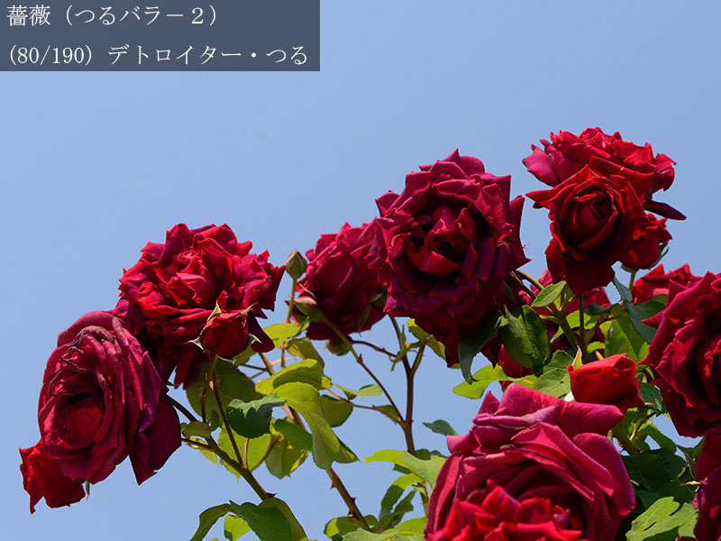 %_tempFileName080-r3952-20260516-0742%
