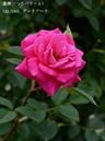 %_tempFileName041-r1985-20260523-1930%