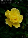 %_tempFileName044-r2100-20260506-1547%