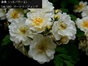 %_tempFileName046-r2160-20260523-1853%