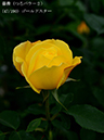 %_tempFileName047-r2170-20260506-1560%
