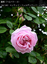 %_tempFileName049-r2327-20260429-1354%