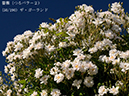 %_tempFileName050-r2333-20260530-2384%