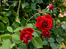 %_tempFileName060-r2789-20260523-1947%