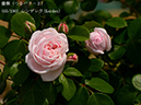%_tempFileName065-r3112-20260524-0185%