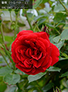 %_tempFileName066-r3119-20260506-1432%