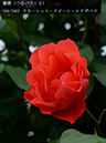 %_tempFileName068-r3245-20260506-1659%